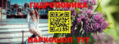 гидропоника Ипатово
