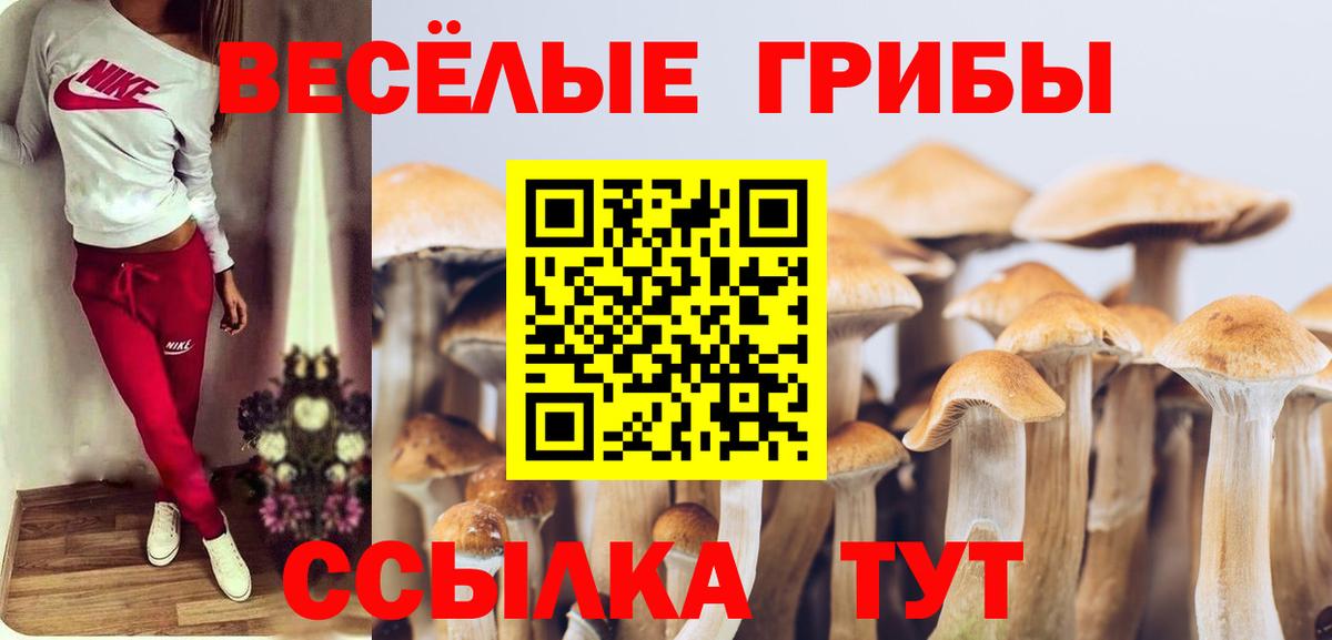 Галлюциногенные грибы мицелий Кандалакша