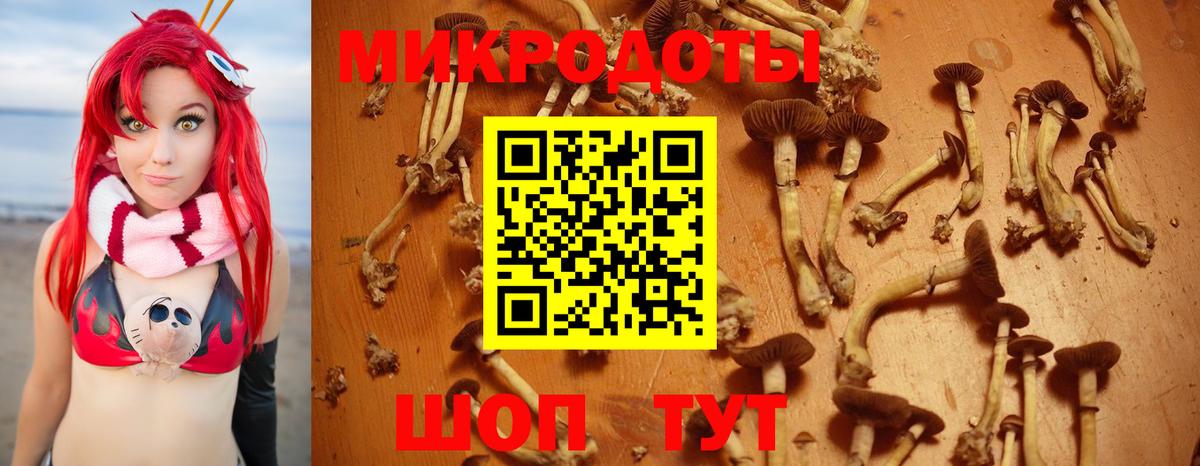 Псилоцибиновые грибы мухоморы  Вход с VPN  Кандалакша 