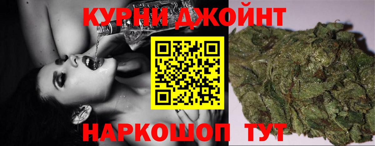 Псилоцибиновые грибы Кандалакша
